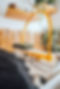 The White House -129.jpg
