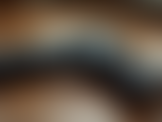 Top Schminter Guns for Every Shooting Enthusiast