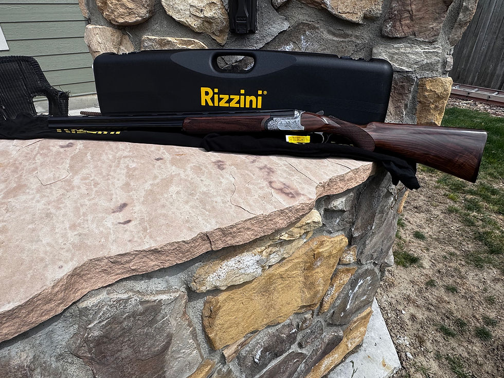 Thumbnail: Rizzini BR220 20 Gauge 20ga 29" With great wood