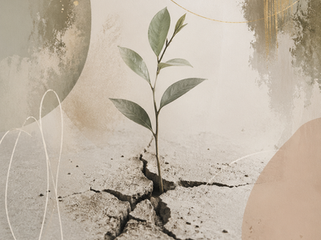 New Moon: Hold Your Ground
