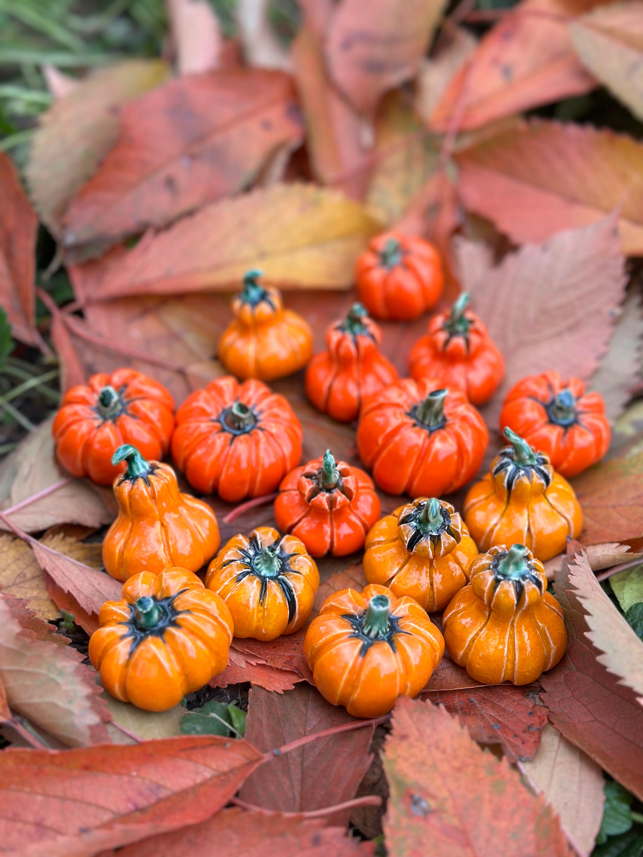 Декоративний гарбузик