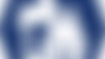 גישור-ושלום בית