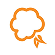 CLOUDBERRIES DELTA AS logo