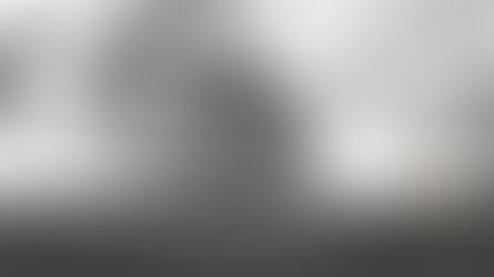 החוכמה היא לא לתבוע במקרה חסר סיכוי