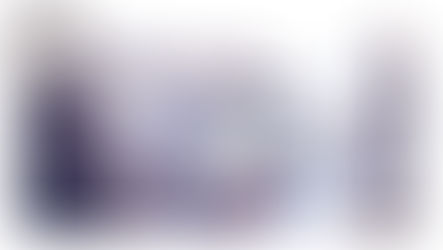 תנו לי לספר לכם איך מתנהל דיון בבית המשפט: