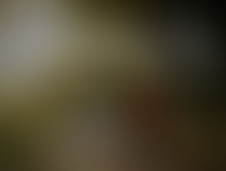 了解疫情，安全健身