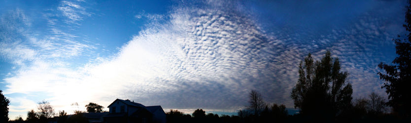 Cloud panorama