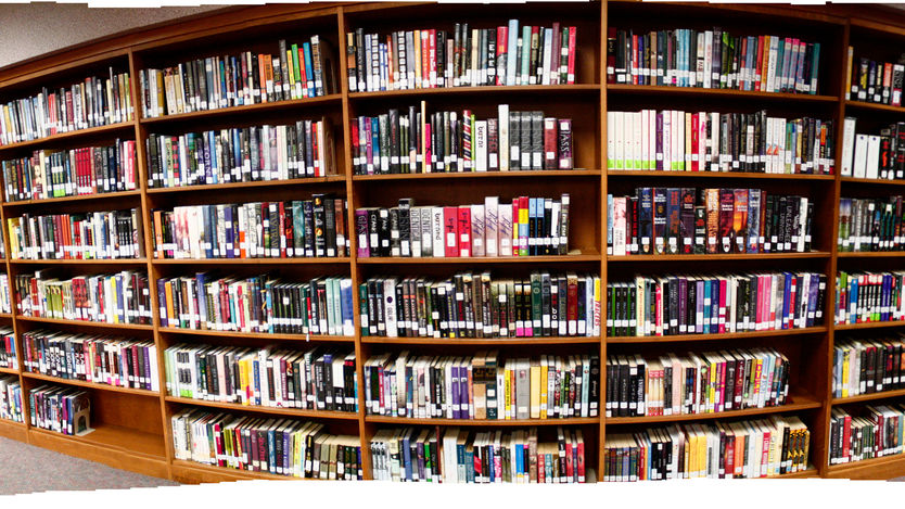 Bookshelf Panorama