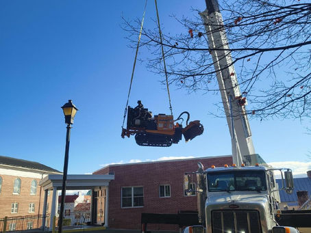 No Stump Grinding Job Too Challenging for Old Town Tree Experts