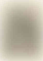 Coat of arms of the Antwerp Guild of Saint Luke