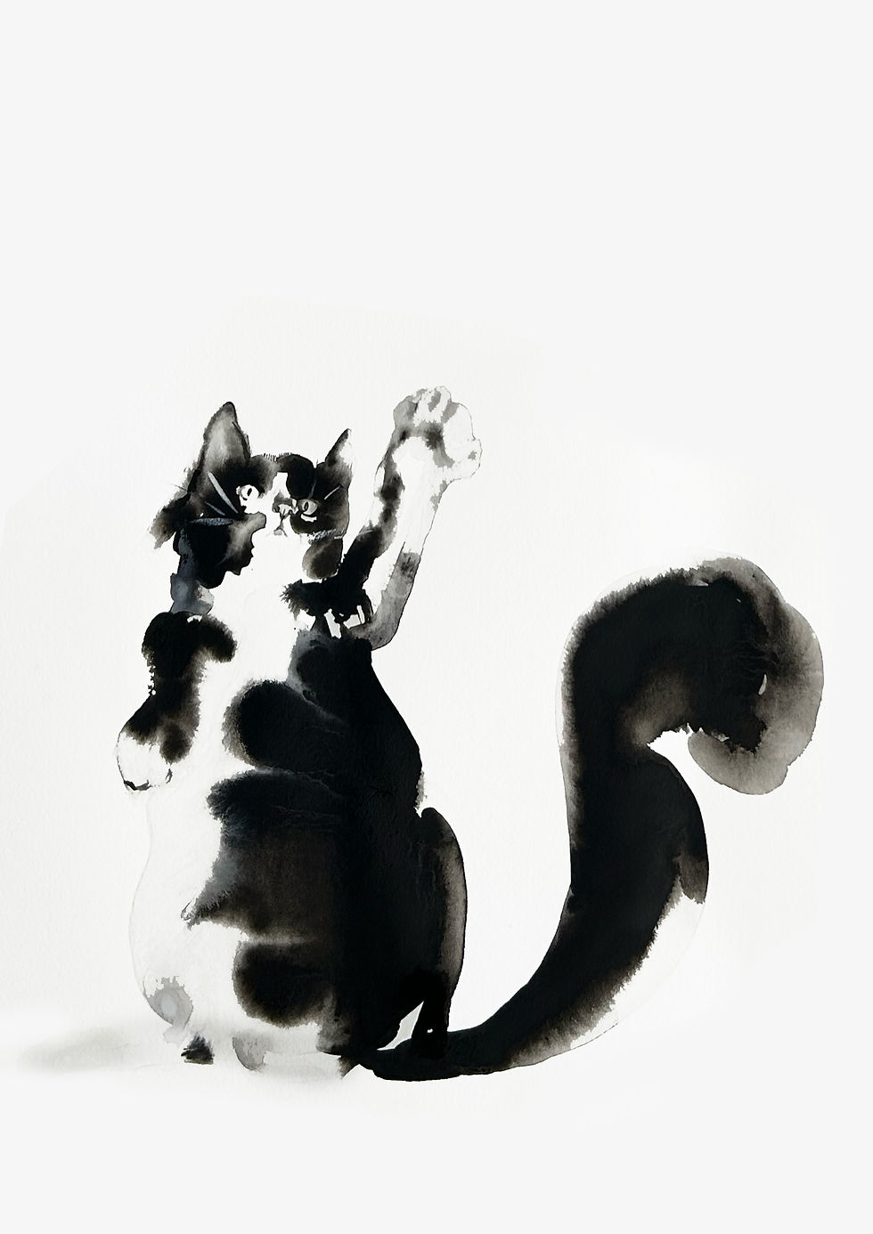 Thumbnail: Fluffy & Frazzled - Set of 3 x A3 Prints