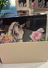 Equestrian Greeting Card Giftbox set by Sydney Artist, Belinda Baynes