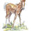 Thumbnail: SaddleBabies Foal T