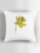 Hamptons daffodil cushion yellow floral watercolour by Belinda Baynes