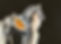 Nothing Gold4.jpg