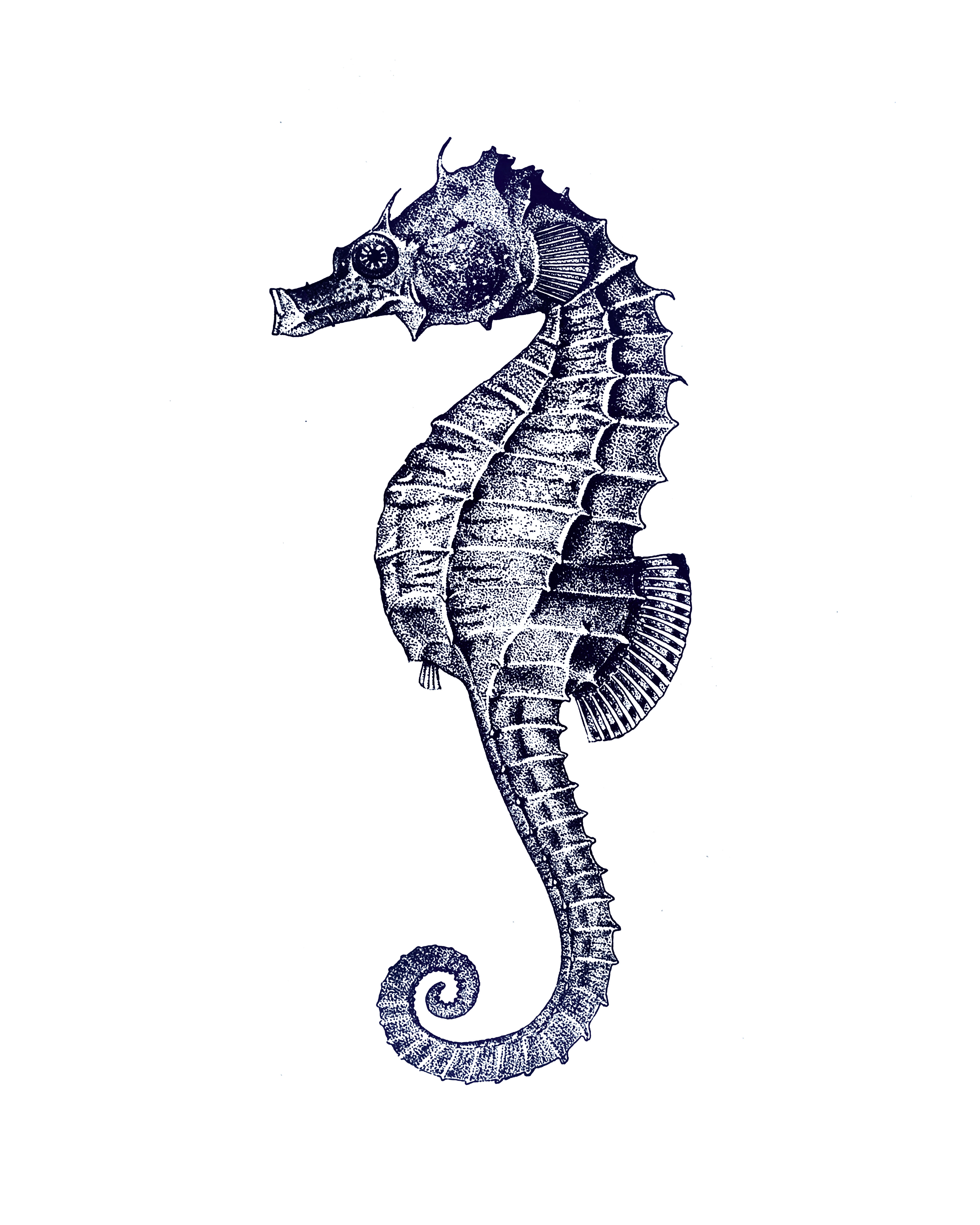 Vintage A3 Hamptons Prints x6