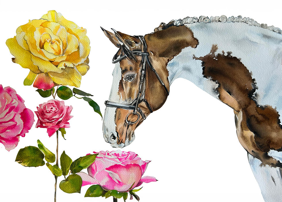 My-Pinto-greeting-card