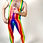 Thumbnail: Pride Stripe Side Pockets Muscle Singlet