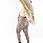 Thumbnail: Leopard Muscle Singlet