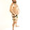 Thumbnail: Stripes Jock Strap