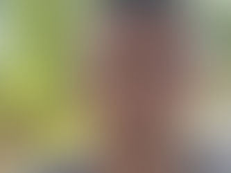 Un nouvel engin de secours: le CCEN