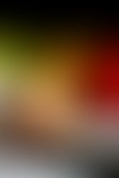 Onions and Acid Reflux: Friend or Foe?