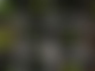 Healing Gardens: Growing Acid Reflux-Friendly Foods for Better Digestion