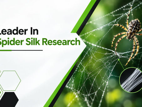 Leaders in Spider Silk Research