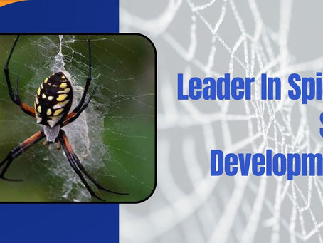 Leader In Spider Silk Development: From Genetic Engineering to Real-World Applications