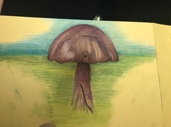 2 - Shroom 1.jpeg
