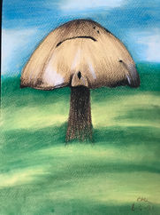 2 - Shroom 2.jpeg