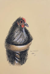 This months flavour is…… Chooks! 
Chook in a cup. 
Keep an eye out! There is a prize on the 8th of August! The first person to guess the chook keeps the picture! 😍 (On Facebook)
Drawn in Faber-Castell Pastel Pencils. 
The picture roughly A4 in size. 
Rough sketch
#chicken #sketch #roughsketch #art #pastelpencils #artforsale