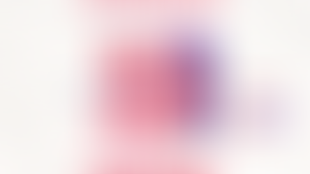 CONFERÊNCIA DAS MULHERES