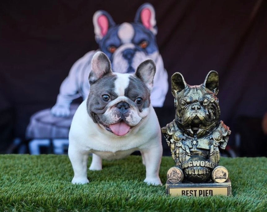 image_123650291 (1).JPG