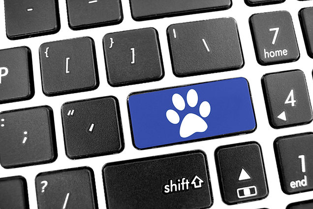 Flat black modern Keyboard of a laptop with Blue Button_ white pet dog cat animal paw icon