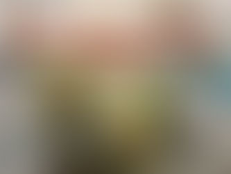 Köpeklerde Parvoviral Enteritis (Kanlı İshal) Hastalığı