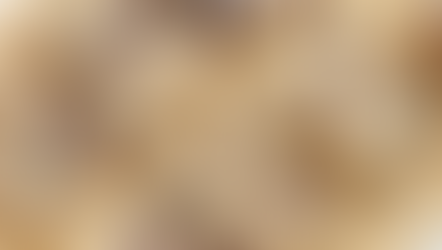 Cranberry & Tahini Granola Bars