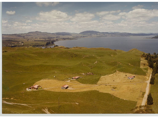 Exploring Whakapapa: Connect with Our History