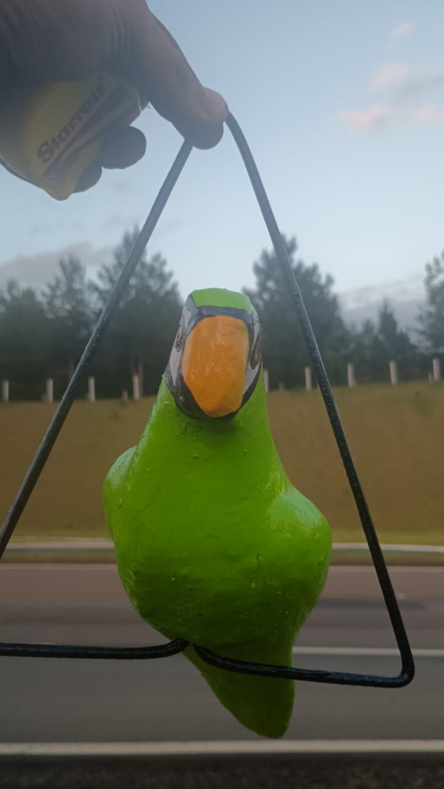 Forma de fibra de vidro pra fazer caturrita