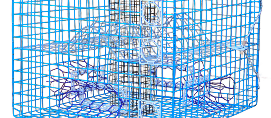 How to Choose the Best Crab Trap (Beginner’s Guide)