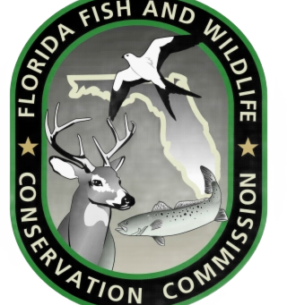 Florida Blue Crab Laws: Size, Traps, and Regulations Explained