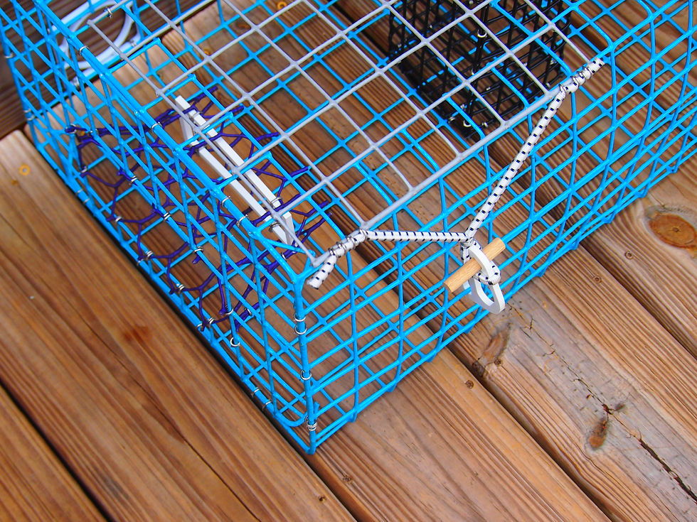 Thumbnail: Medium Crab Trap