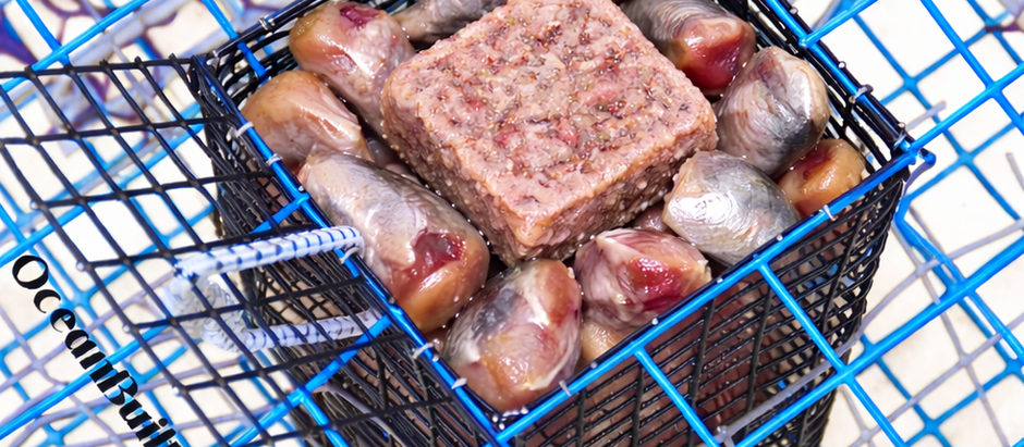 How to Deploy a Crab Trap Correctly