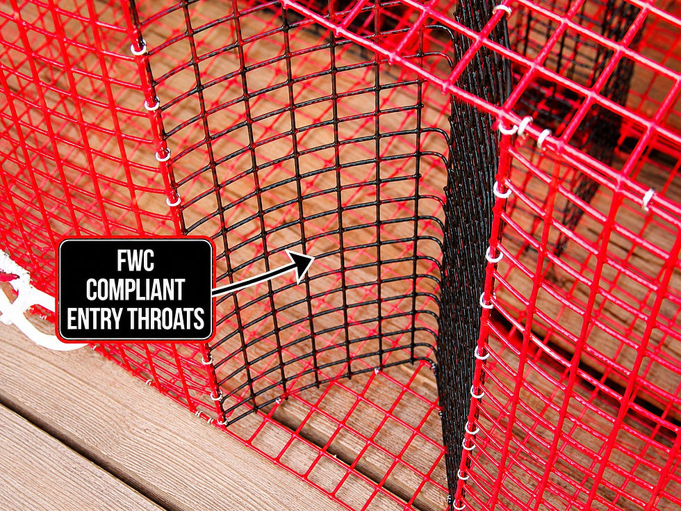Thumbnail: XL PINFISH TRAP