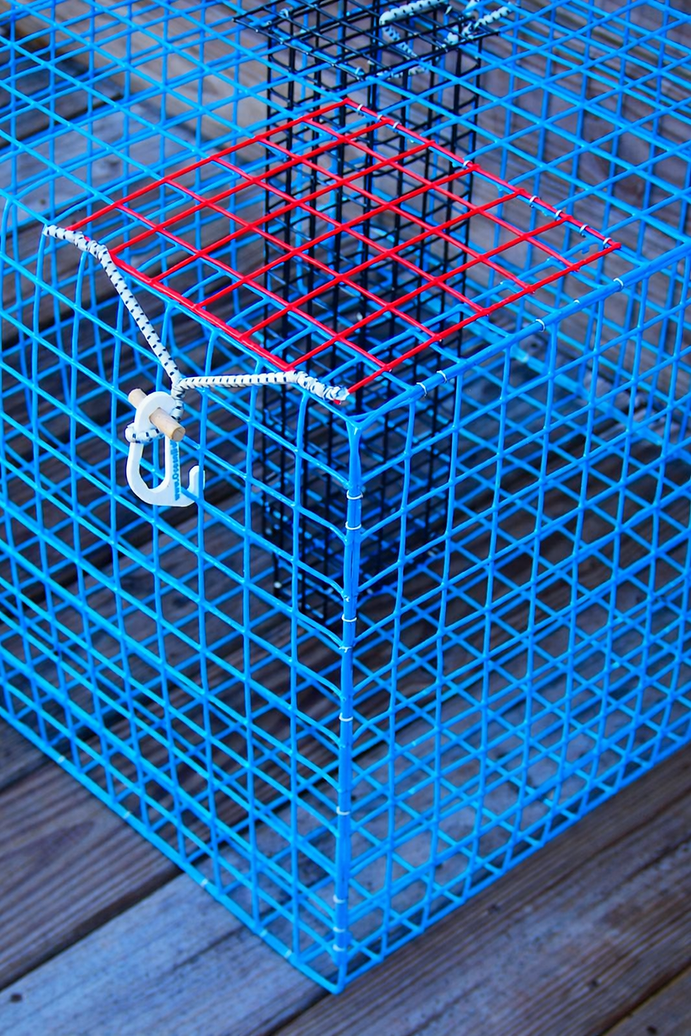 Thumbnail: 1.5" MESH CRAB PEN