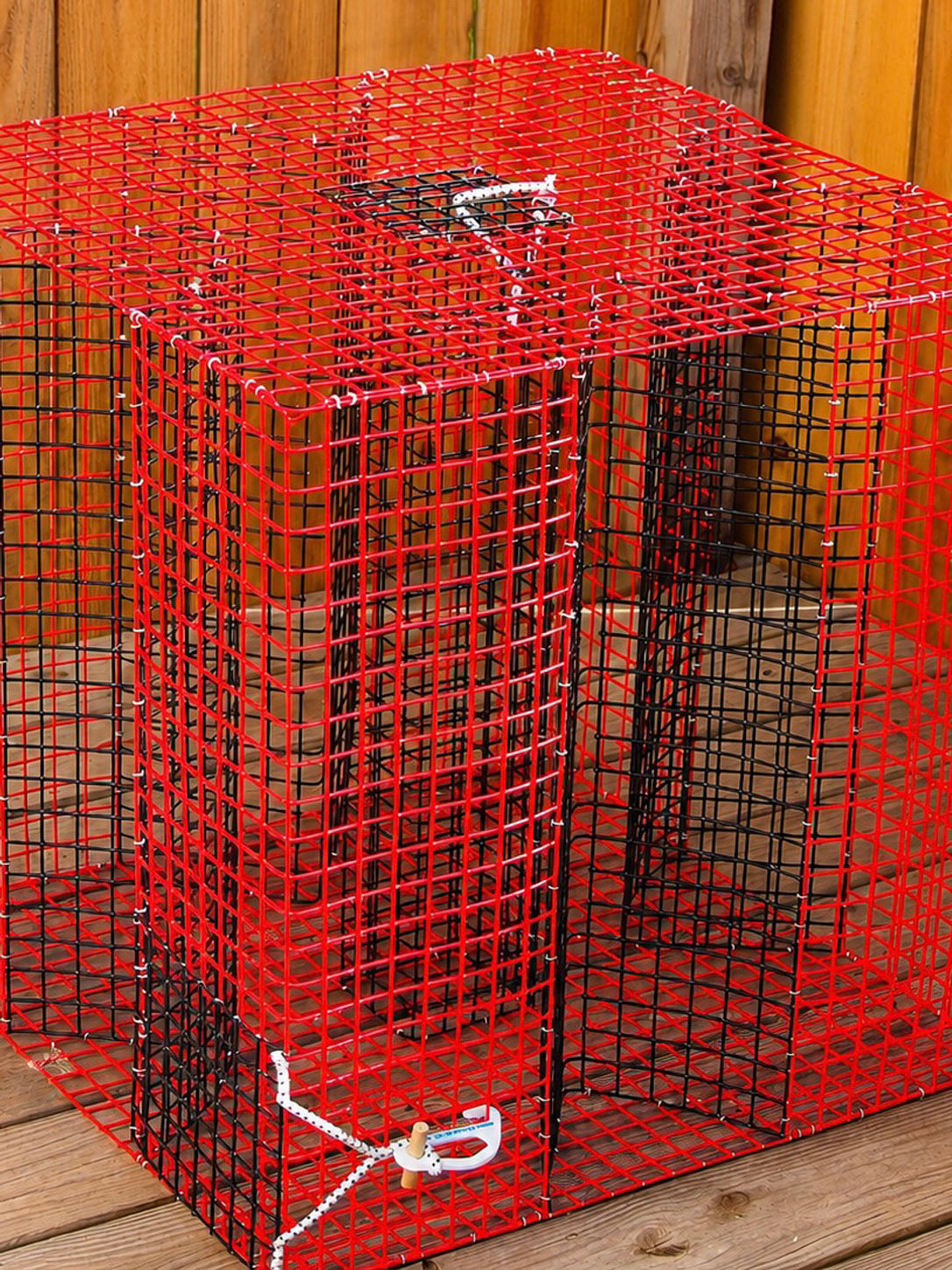 XL PINFISH TRAP