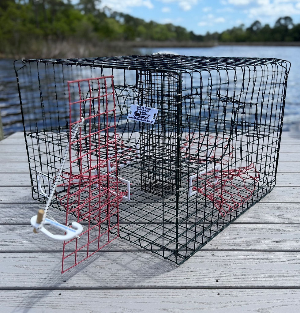Thumbnail: XL Crab Trap