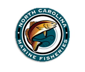 NC outdoors logo