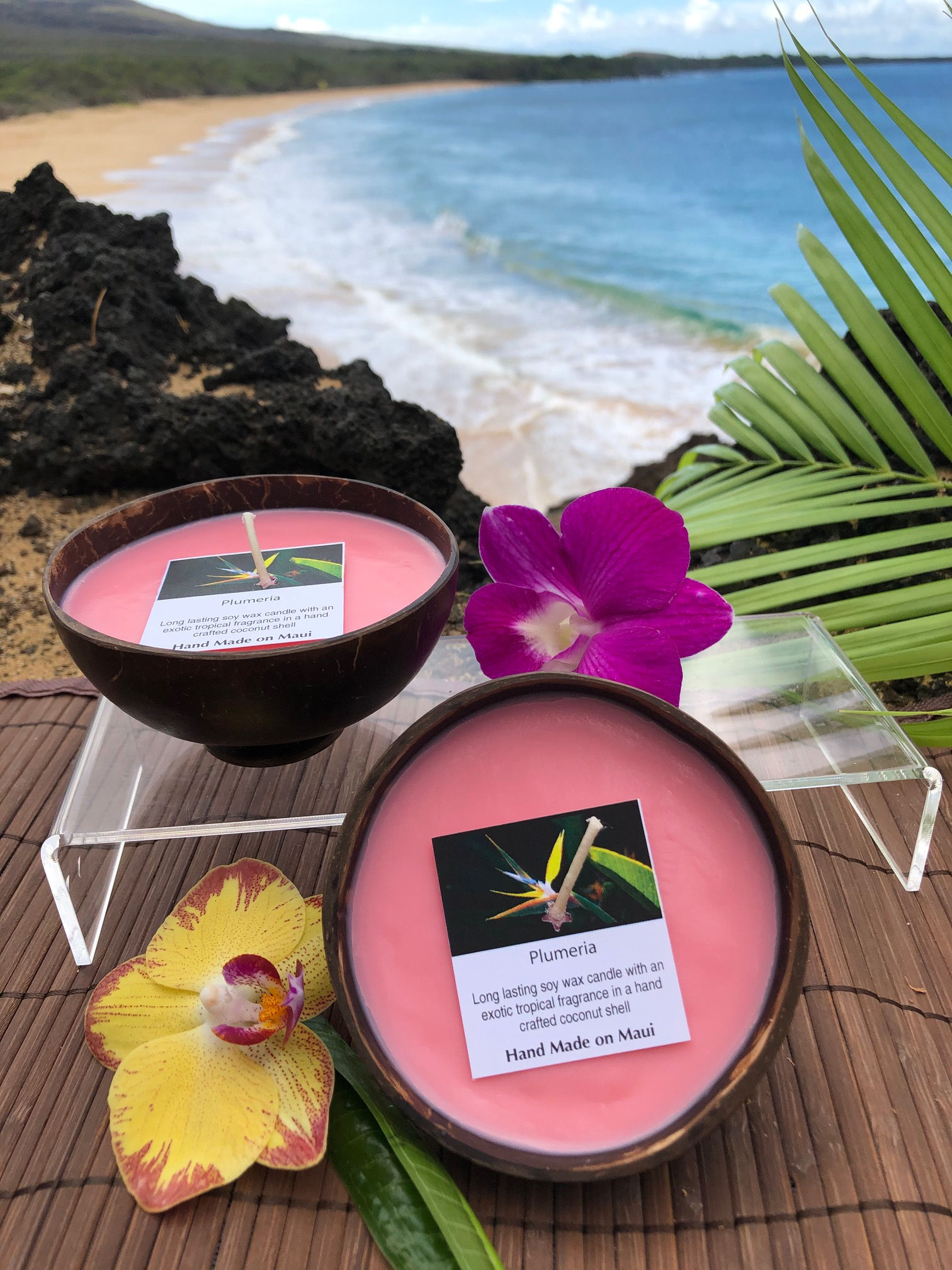 Plumeria Soy Wax Candle in a Polished Coconut Shell.  Pink in Color, Smells like Beautiful Island Flowers.