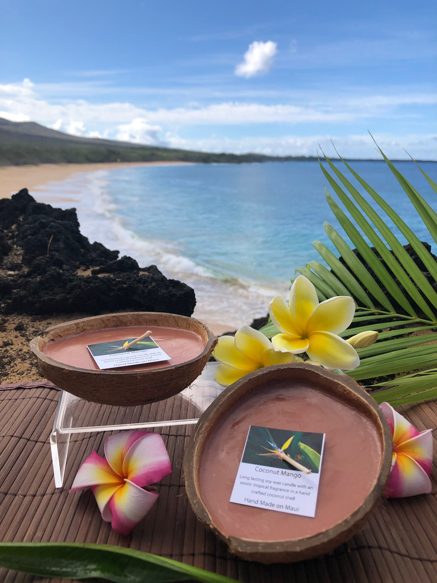 Coconut Mango Soy Wax Candle in Floating Coconut Shell.  Tan in Color, Smells like Sweet Honey Mango & Nutty Coconut.